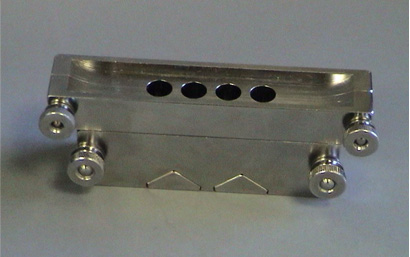 mold for cosmetic lab use